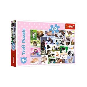 Køb Cat's World - 60 brikker Brætspil