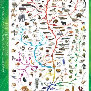 Køb Livets træ - 1000 brikker Brætspil