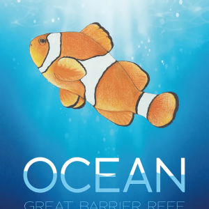 Køb Ocean - Great Barrier Reef Brætspil