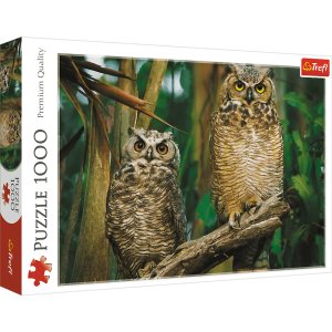 Køb Owls - 1000 Brikker Brætspil